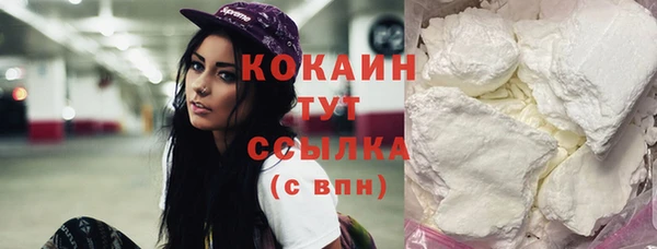 сатива Кинешма