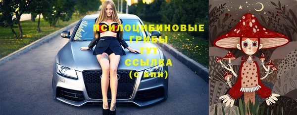 сатива Кинешма