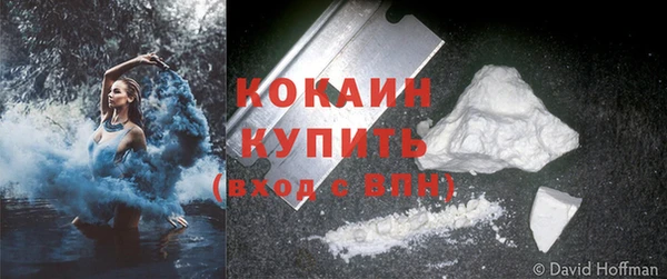 сатива Кинешма