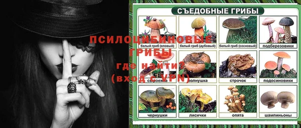сатива Кинешма