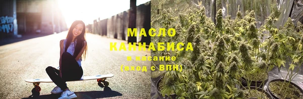 сатива Кинешма