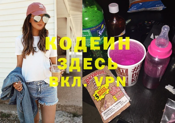 сатива Кинешма